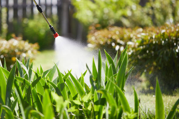 Tamper-Resistant Bait Stations for Rodents in Highland