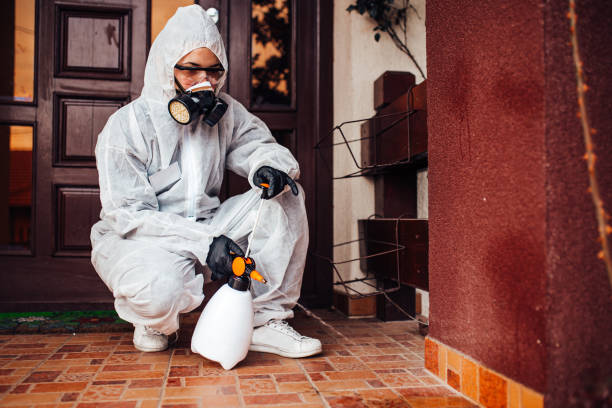 Attic and Crawl Space Rodent Treatment in Highland